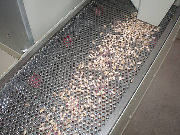Dinkelschälmaschine mit Absaugsystem Dinkelschälmaschine mit Absaugsystem Dinkelschälmaschine mit Absaugsystem Dinkelschälmaschine mit Absaugsystem Dinkelschälmaschine mit Absaugsystem Dinkelschälmaschine mit Absaugsystem